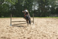 /album/fotogallerij/dsc02811-jpg/
